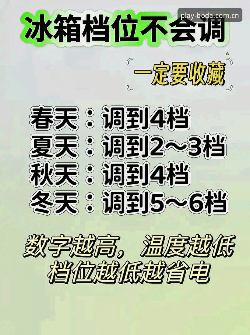 综合体育直播安装失败？实用技巧与必备知识
